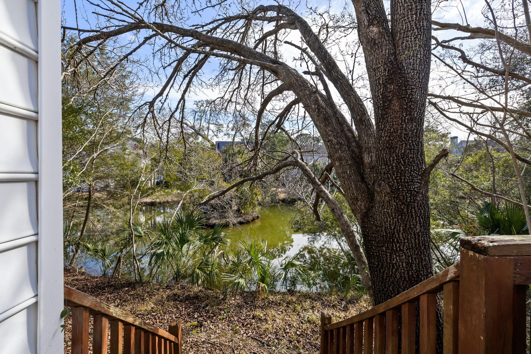 718 High Battery Circle Mount Pleasant, SC 29464 - Photo 30 of 45 Pond View