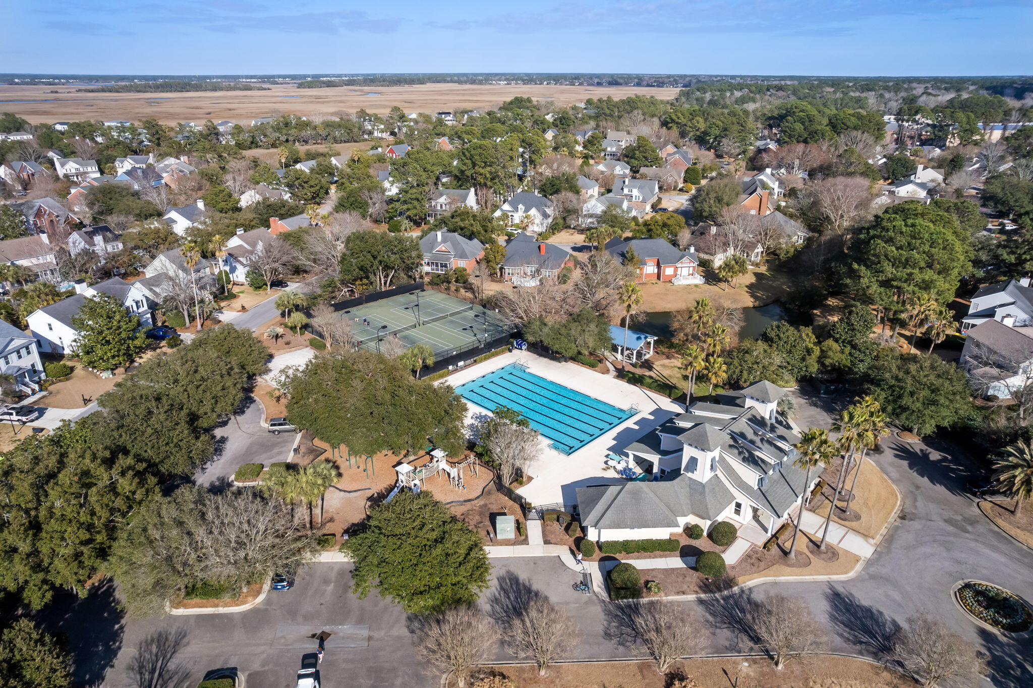 718 High Battery Circle Mount Pleasant, SC 29464 - Photo 42 of 45 Pool and Tennis Courts
