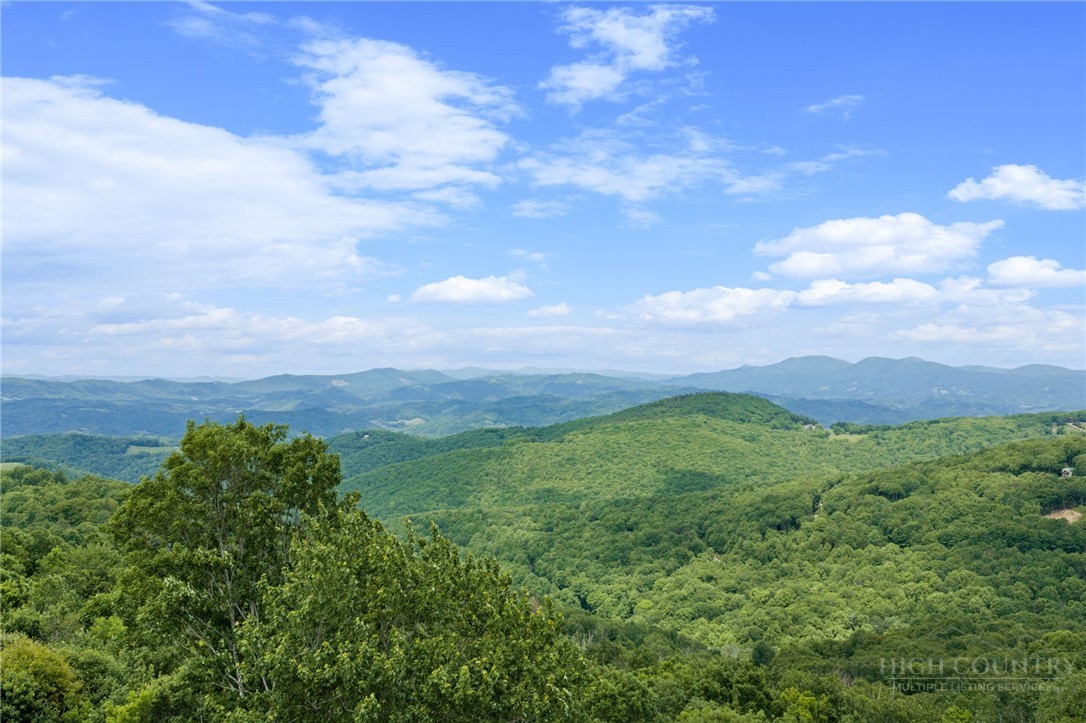 132 Grassy Gap Loop Road Beech Mountain, NC 28604 - Photo 6 of 39