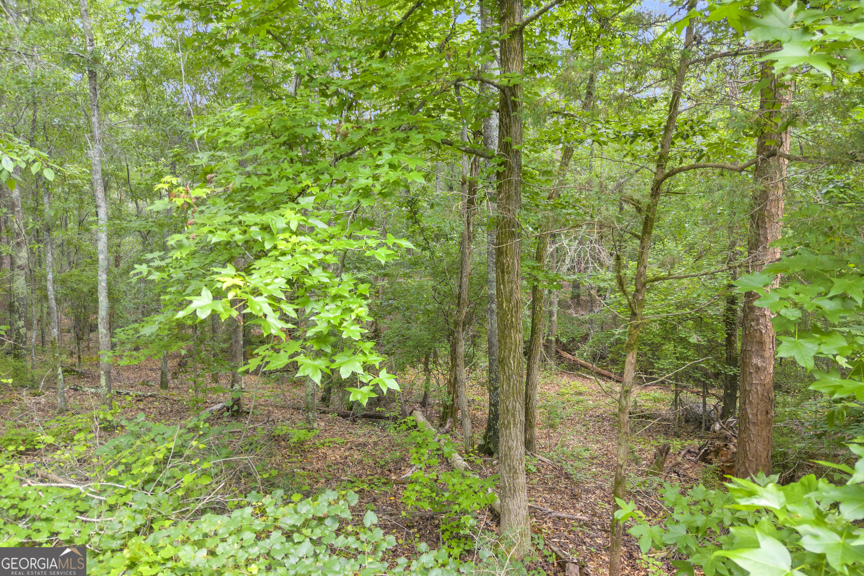 1655 Cleveland Road Bogart, GA 30622 - Photo 3 of 19