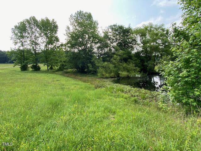 1167 John D Winstead Road Roxboro, NC 27574 - Photo 34 of 55 a view of a lush green space