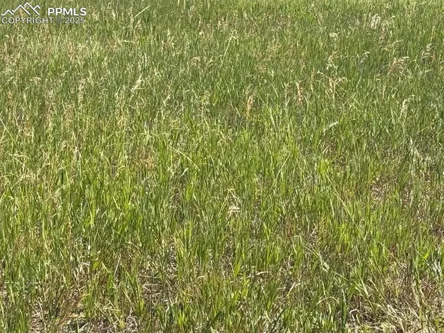 a view of an ocean and beach