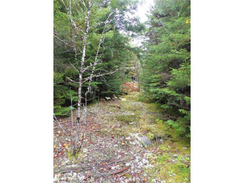 Lot 9 Lower Drew Road Kingman, ME 04451 - Photo 4 of 8 Land.