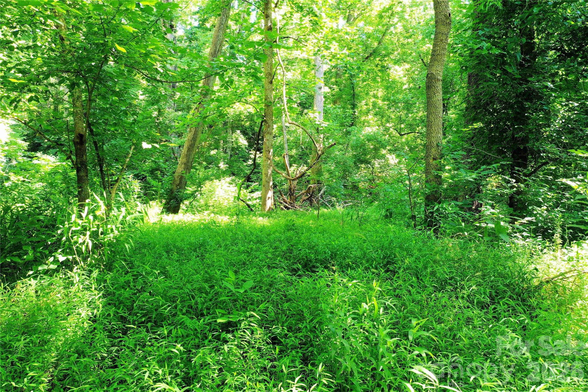 0 River Road Tryon, NC 28782 - Photo 15 of 30