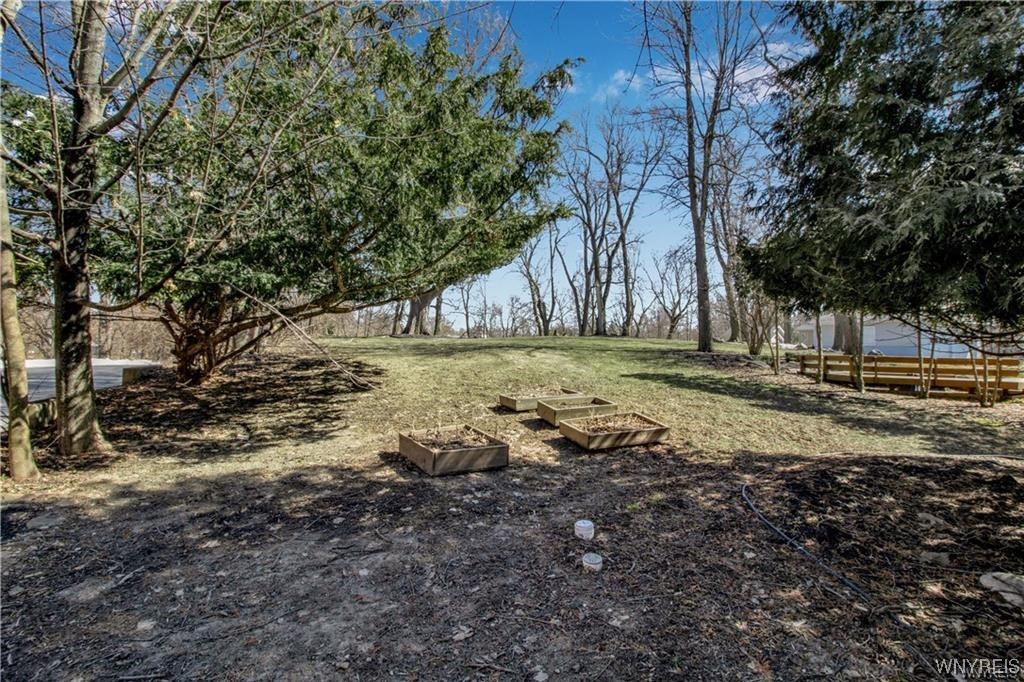 44 South Cayuga Road Amherst, NY 14221 - Photo 46 of 50