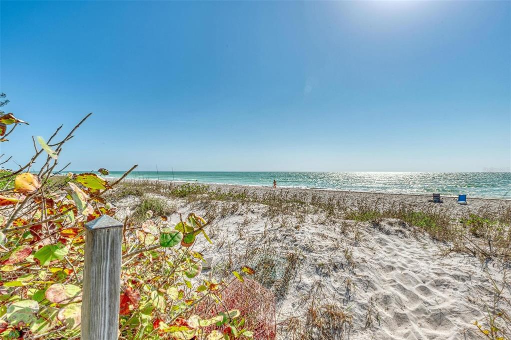 6590 Manasota Key Road Englewood, FL 34223 - Photo 49 of 69