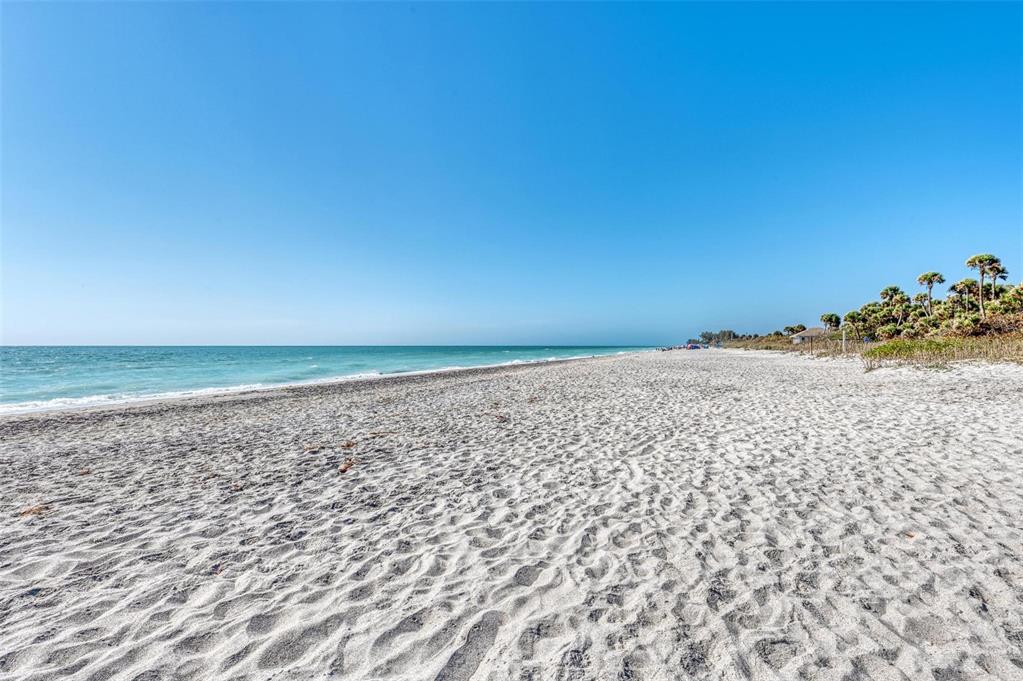 6590 Manasota Key Road Englewood, FL 34223 - Photo 50 of 69