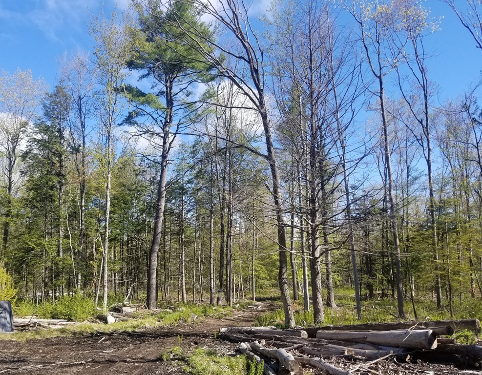 0 South Quarter Road Russell, MA 01071 - Photo 6 of 6 Gallery Image 6