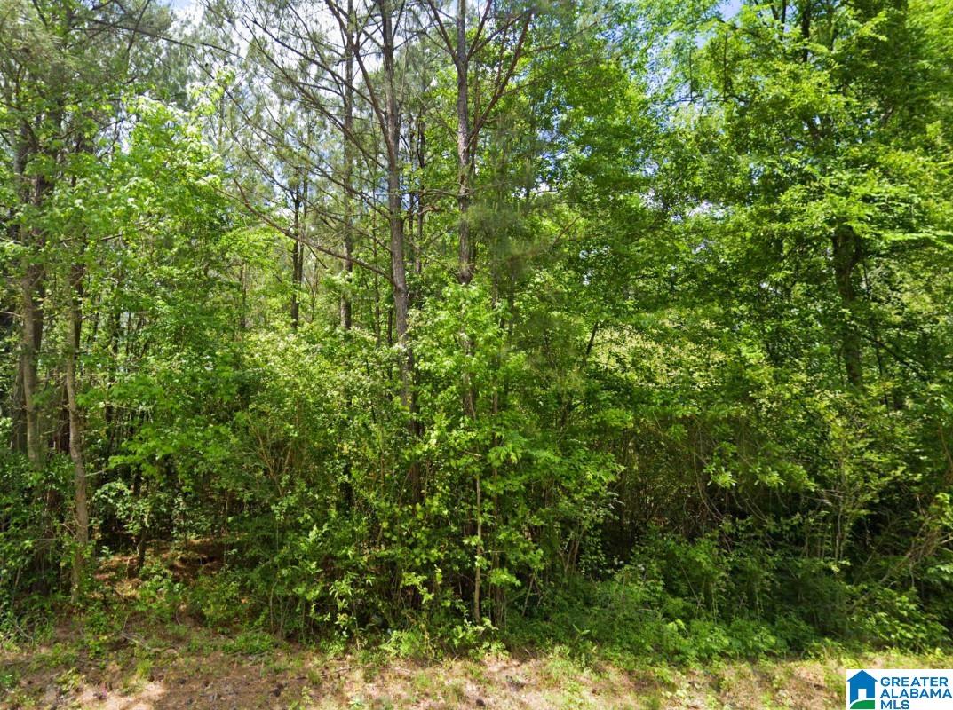 Renfroe Road Alpine, AL 35014 - Photo 3 of 14