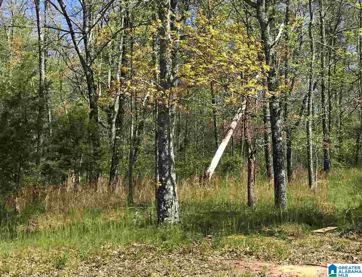 271 Way Back Lane, Unit 20 Hayden, AL 35079 - Photo 3 of 3