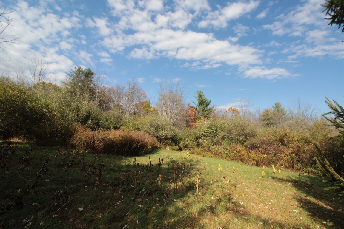 641 Conklin Forks Road Conklin, NY 13748 - Photo 44 of 44