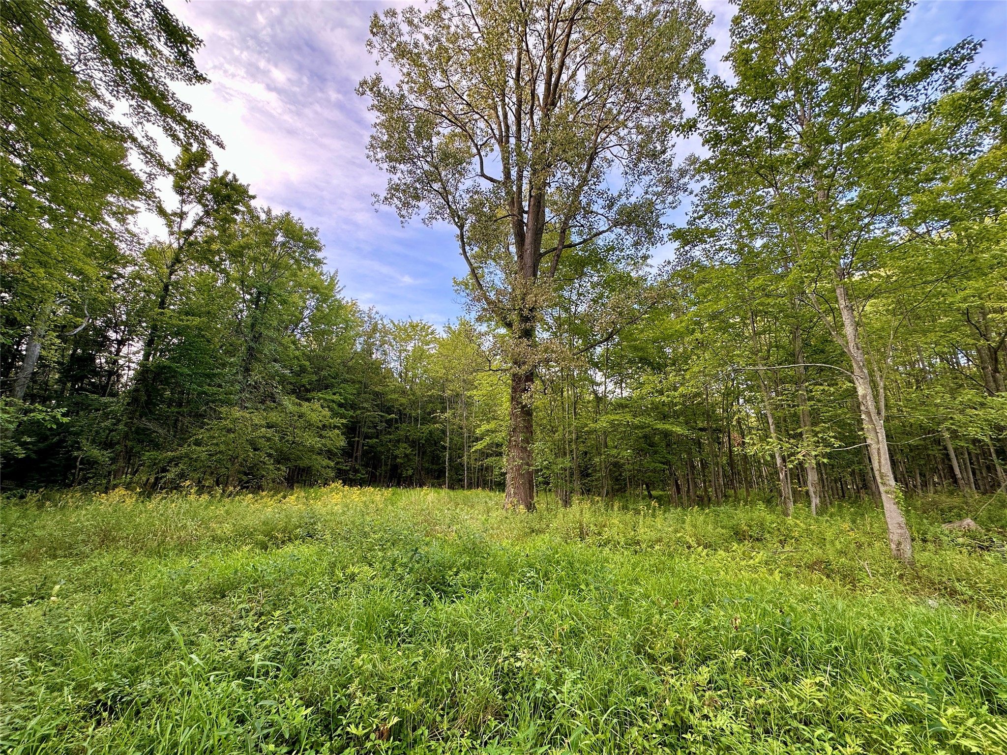 I79 Off Old State Road Edinboro, PA 16412 - Photo 16 of 16 Gallery Image 16