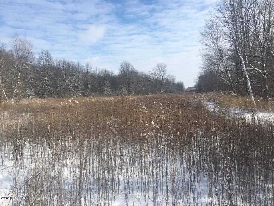 V/l Moore Road Tekonsha, MI 49082 - Photo 5 of 12