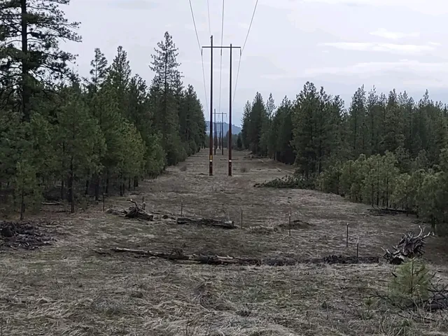 $529,000 | Xx Xx Chamokane Falls Rd Ford, Ford, WA 99013