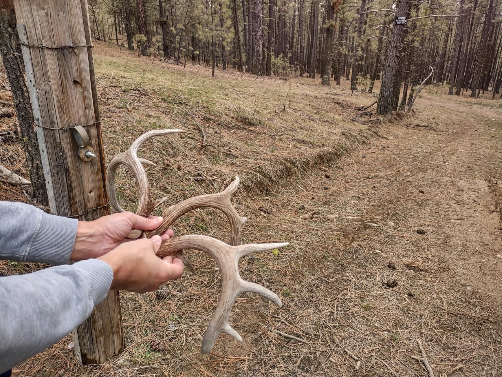 Xx Xx Chamokane Falls Rd Ford Ford, WA 99013 - Photo 5 of 9