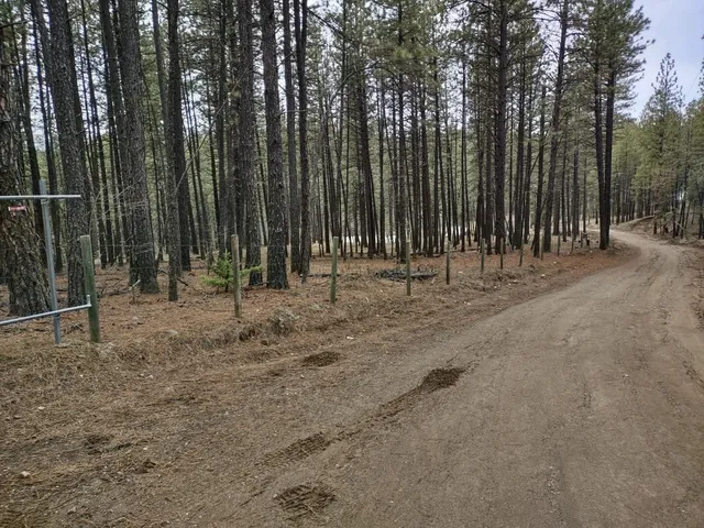 $529,000 | Xx Xx Chamokane Falls Rd Ford, Ford, WA 99013