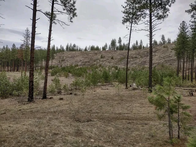 $529,000 | Xx Xx Chamokane Falls Rd Ford, Ford, WA 99013