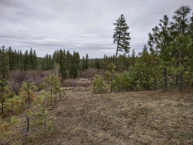 $529,000 | Xx Xx Chamokane Falls Rd Ford, Ford, WA 99013