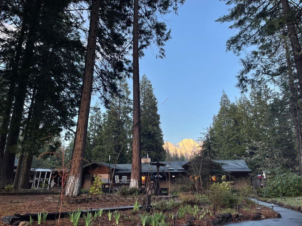 835 Davis Place Road Mount Shasta, CA 96067 - Photo 27 of 27 Gallery Image 27
