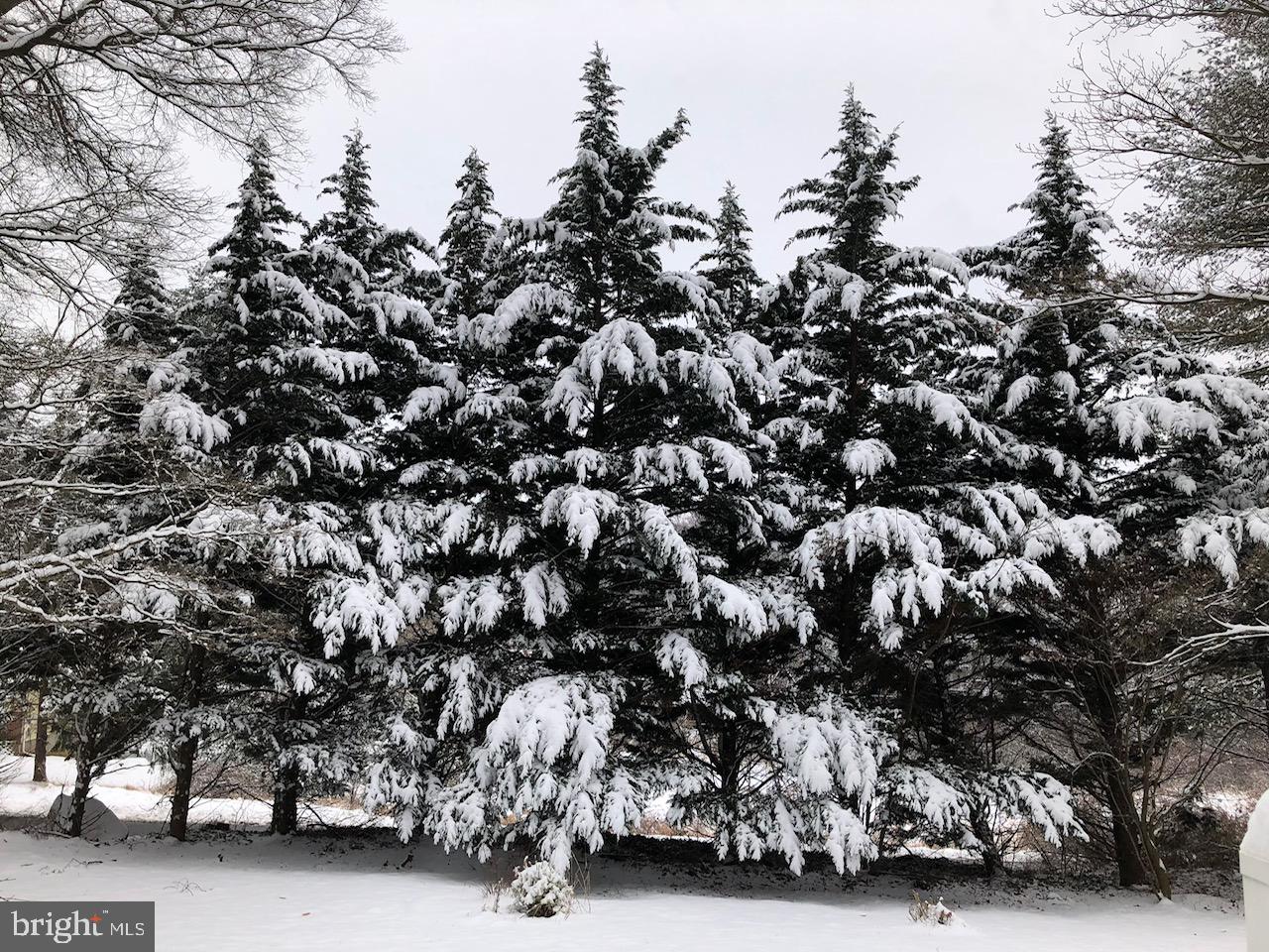 1201 North Tollgate Road Bel Air, MD 21014 - Photo 37 of 41 a view of car parked in city street