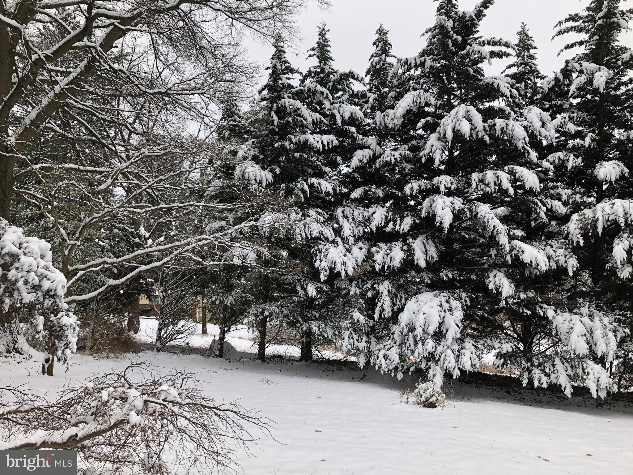 1201 North Tollgate Road Bel Air, MD 21014 - Photo 38 of 41 a view of parking space
