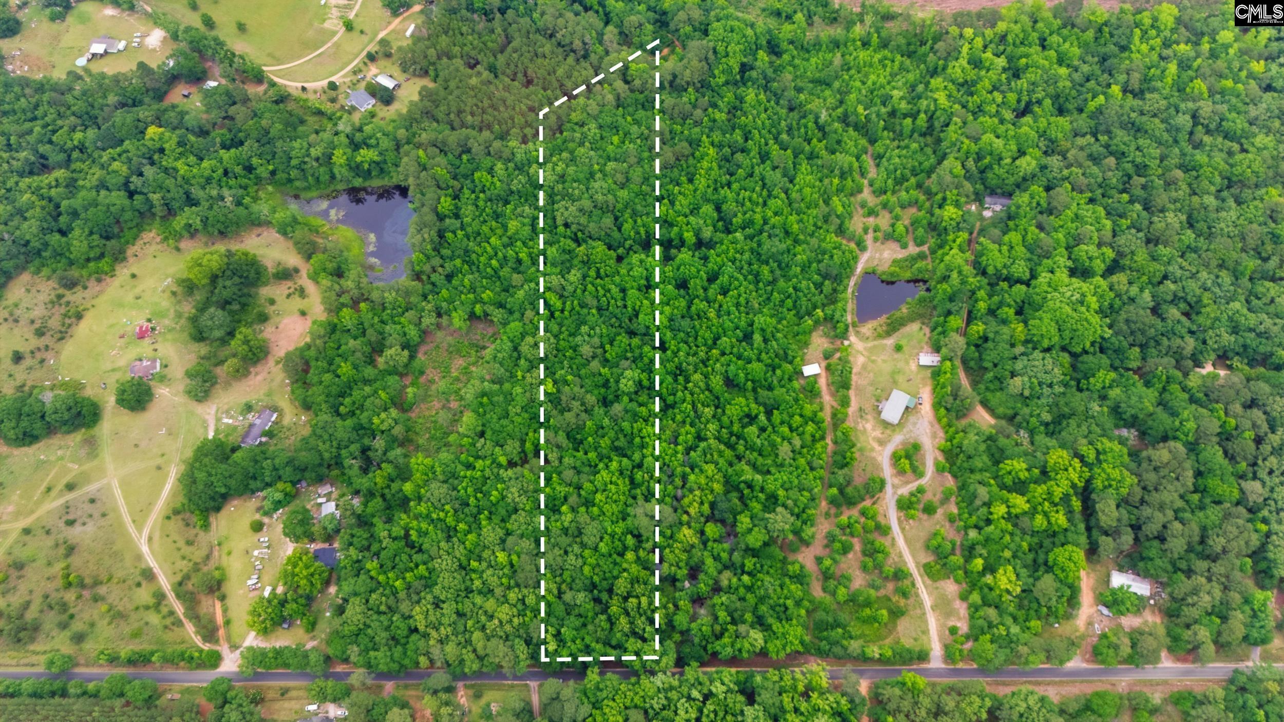 Tbd Basil Road Swansea, SC 29160 - Photo 8 of 19