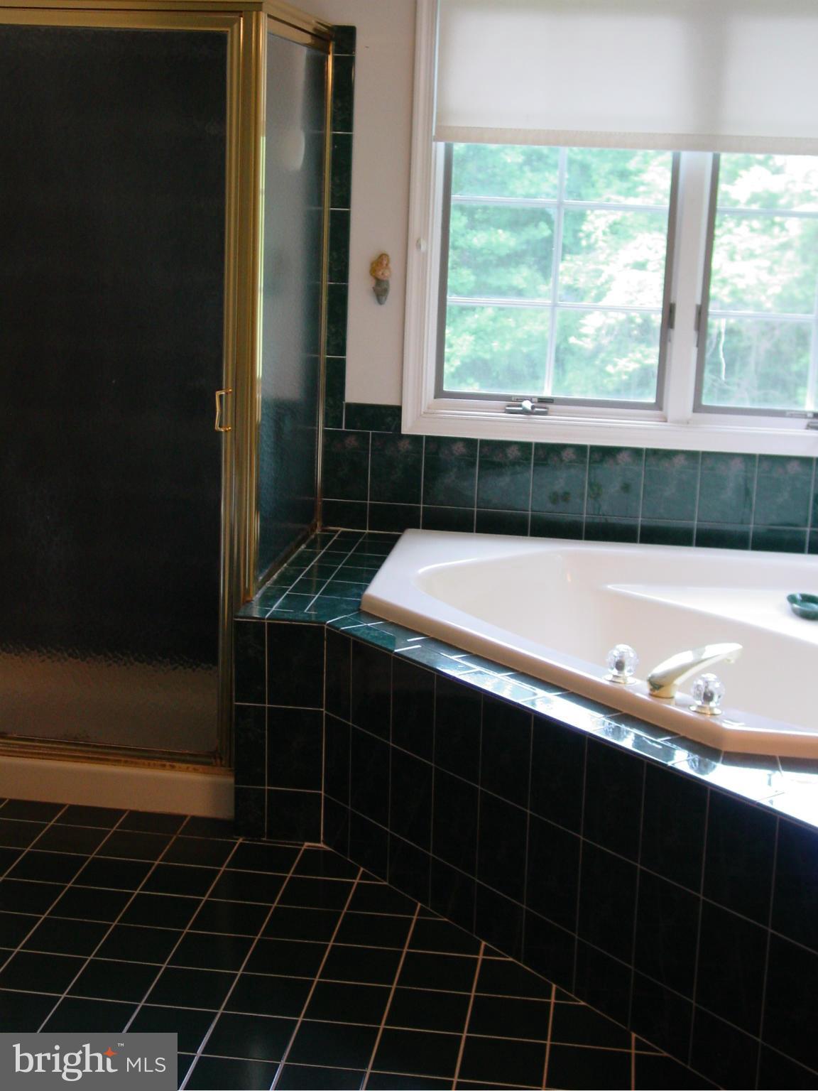 6905 Marshall Road St. Leonard, MD 20685 - Photo 11 of 27 Bath (Master)/stand up shower