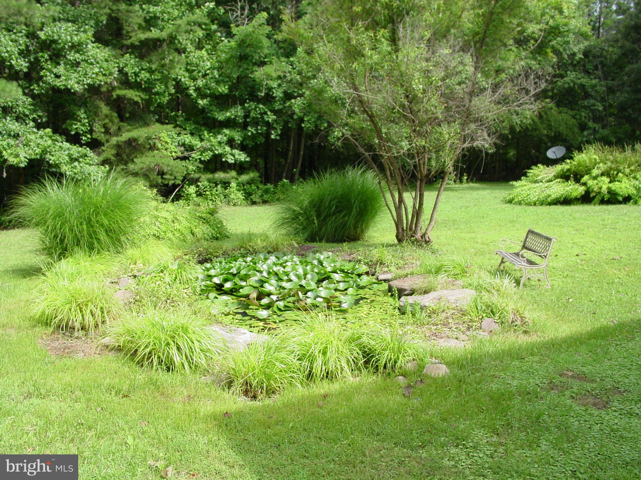 6905 Marshall Road St. Leonard, MD 20685 - Photo 3 of 27 koi pond