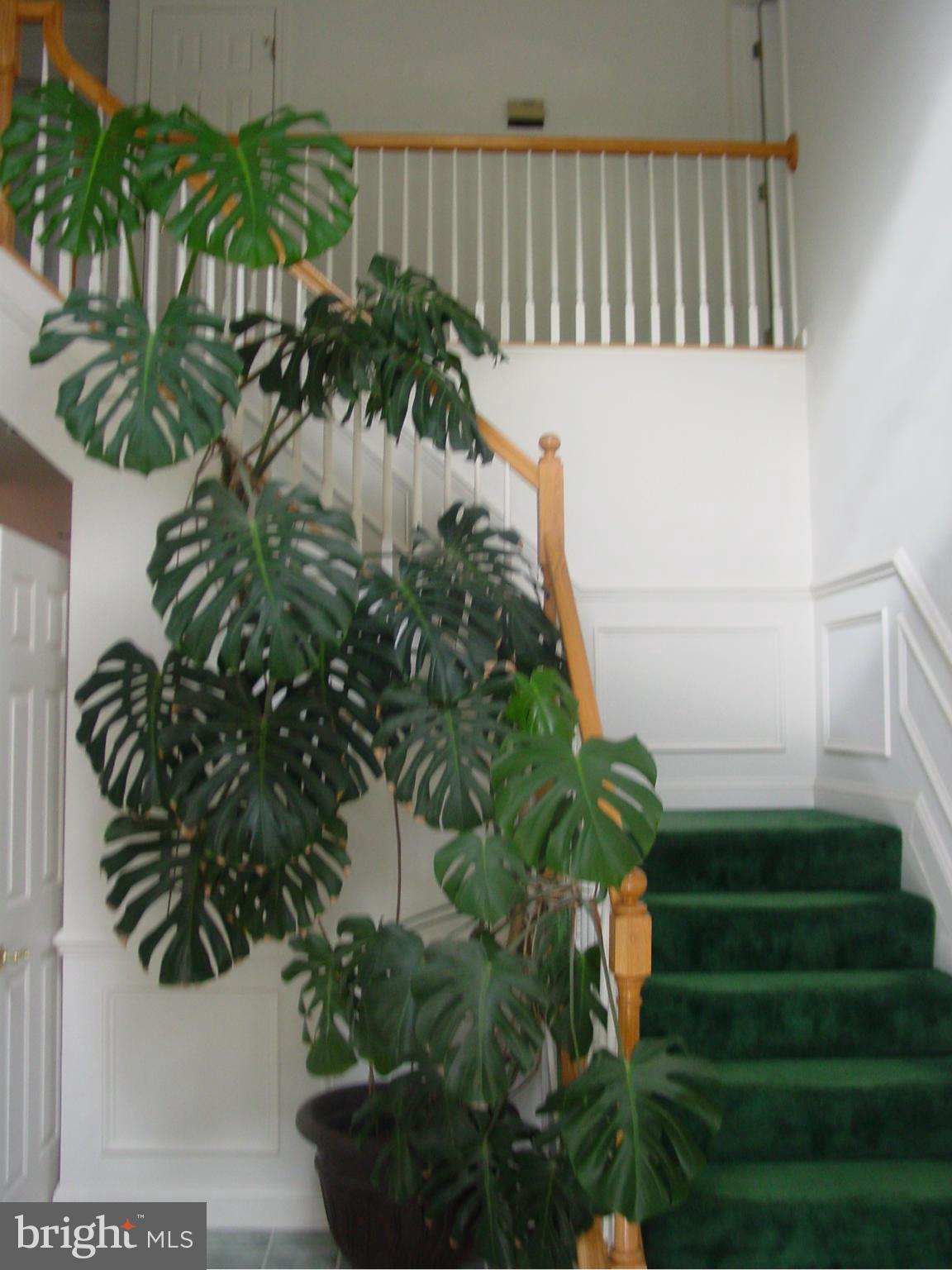 6905 Marshall Road St. Leonard, MD 20685 - Photo 27 of 27 Interior (General)