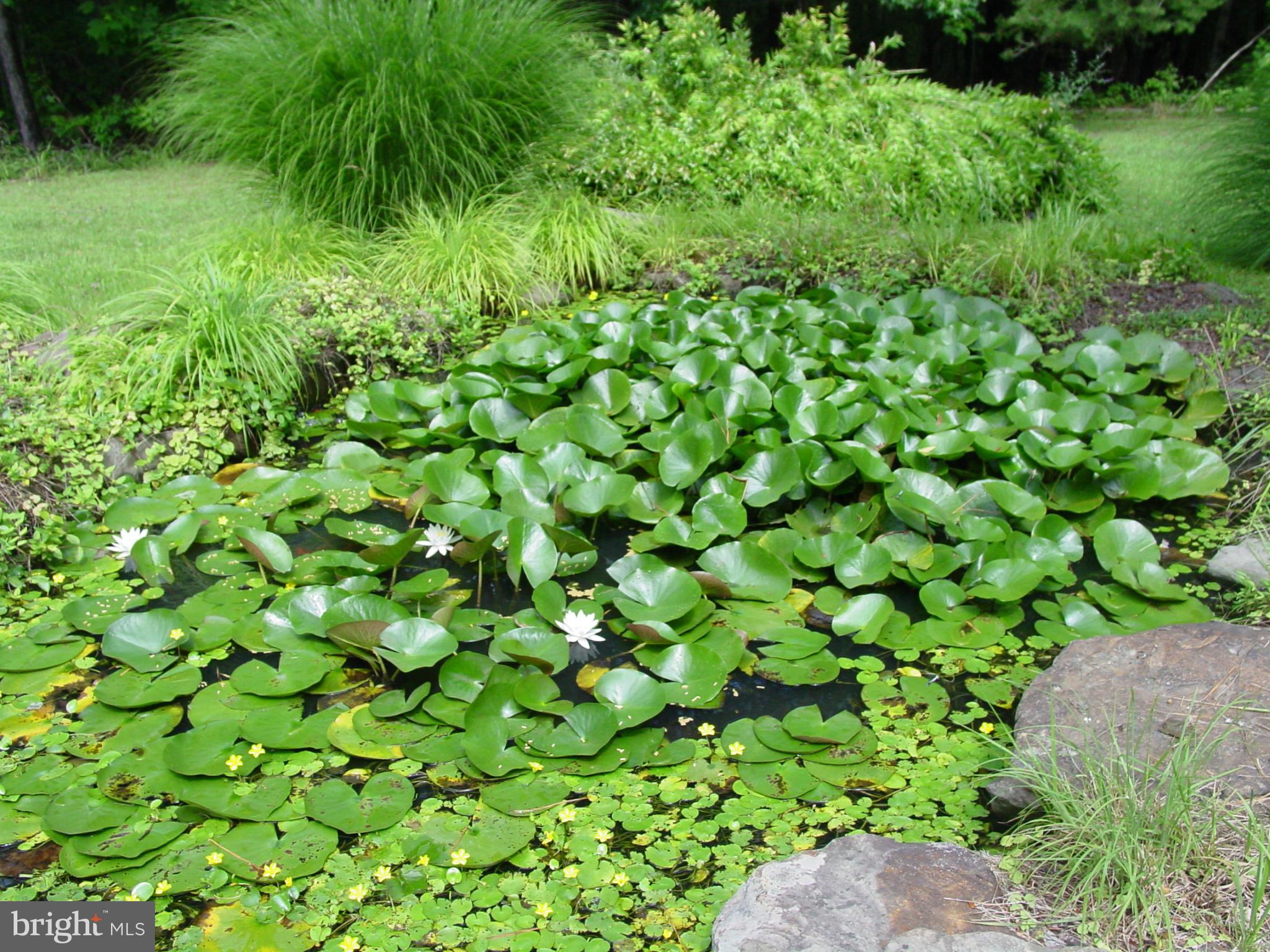 6905 Marshall Road St. Leonard, MD 20685 - Photo 7 of 27 Koi pond/ fountain