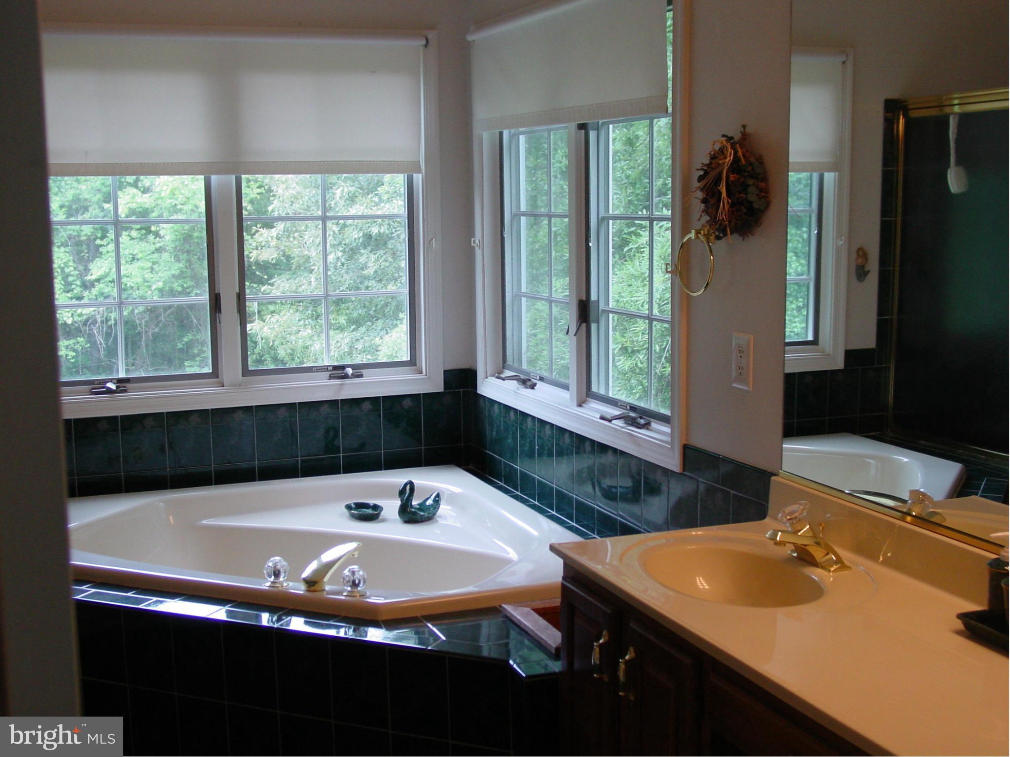 6905 Marshall Road St. Leonard, MD 20685 - Photo 10 of 27 Bath (Master)/deep tub-tiled