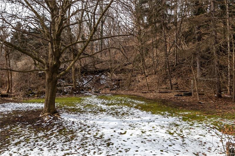 309 Stone Quarry Road Monaca, PA 15061 - Photo 12 of 12 Side yard.....
