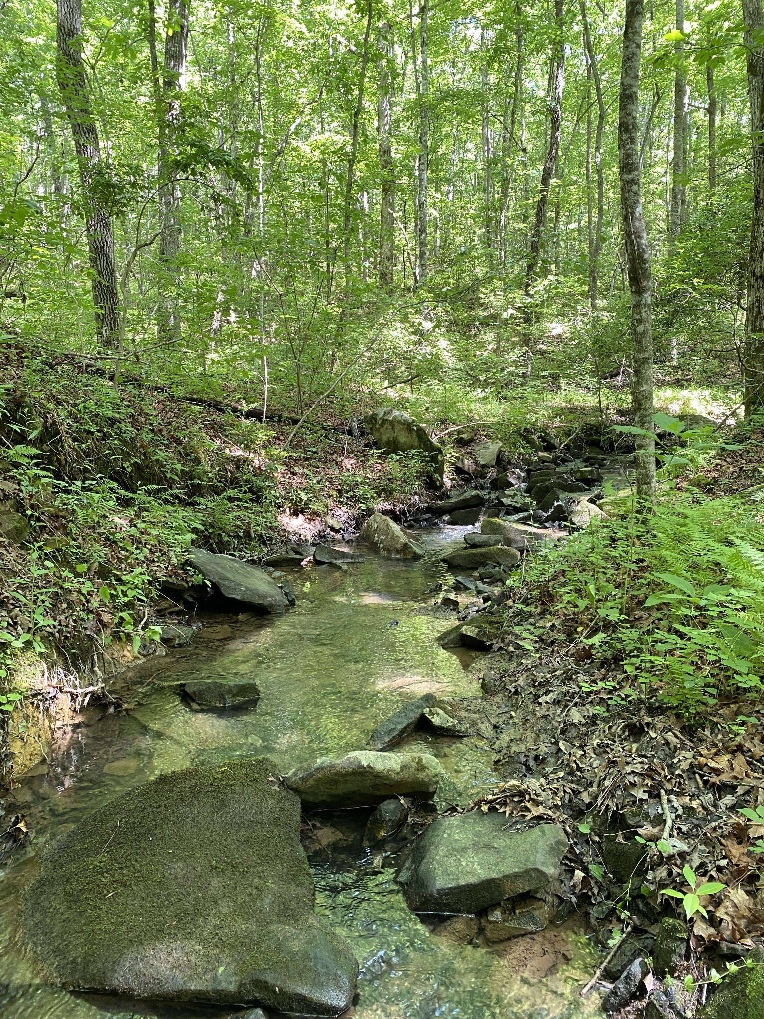 118 Cherokee Road Spencer, TN 38585 - Photo 69 of 85 a view of a lake with lots of trees