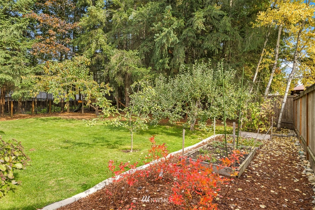 16505 23rd Avenue Southeast Bothell, WA 98012 - Photo 26 of 33 a view of a yard with a tree