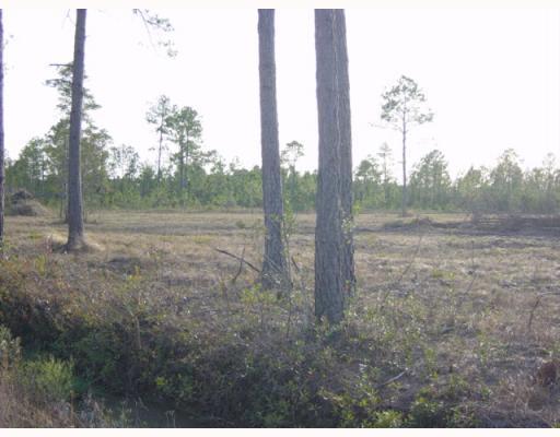 0 Ann Street Moss Point, MS 39562 - Photo 1 of 8 Primary Photo