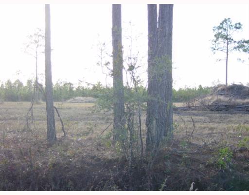 0 Ann Street Moss Point, MS 39562 - Photo 4 of 8 Additional Photo