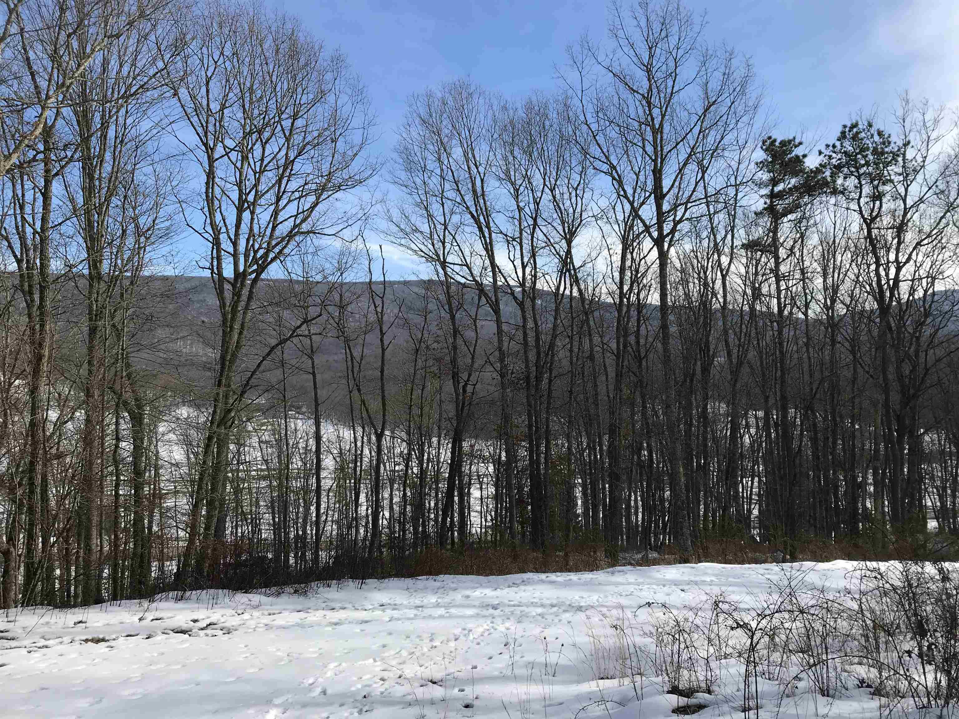 1784 Jackson River Road Monterey, VA 24465 - Photo 11 of 19 Gallery Image 11