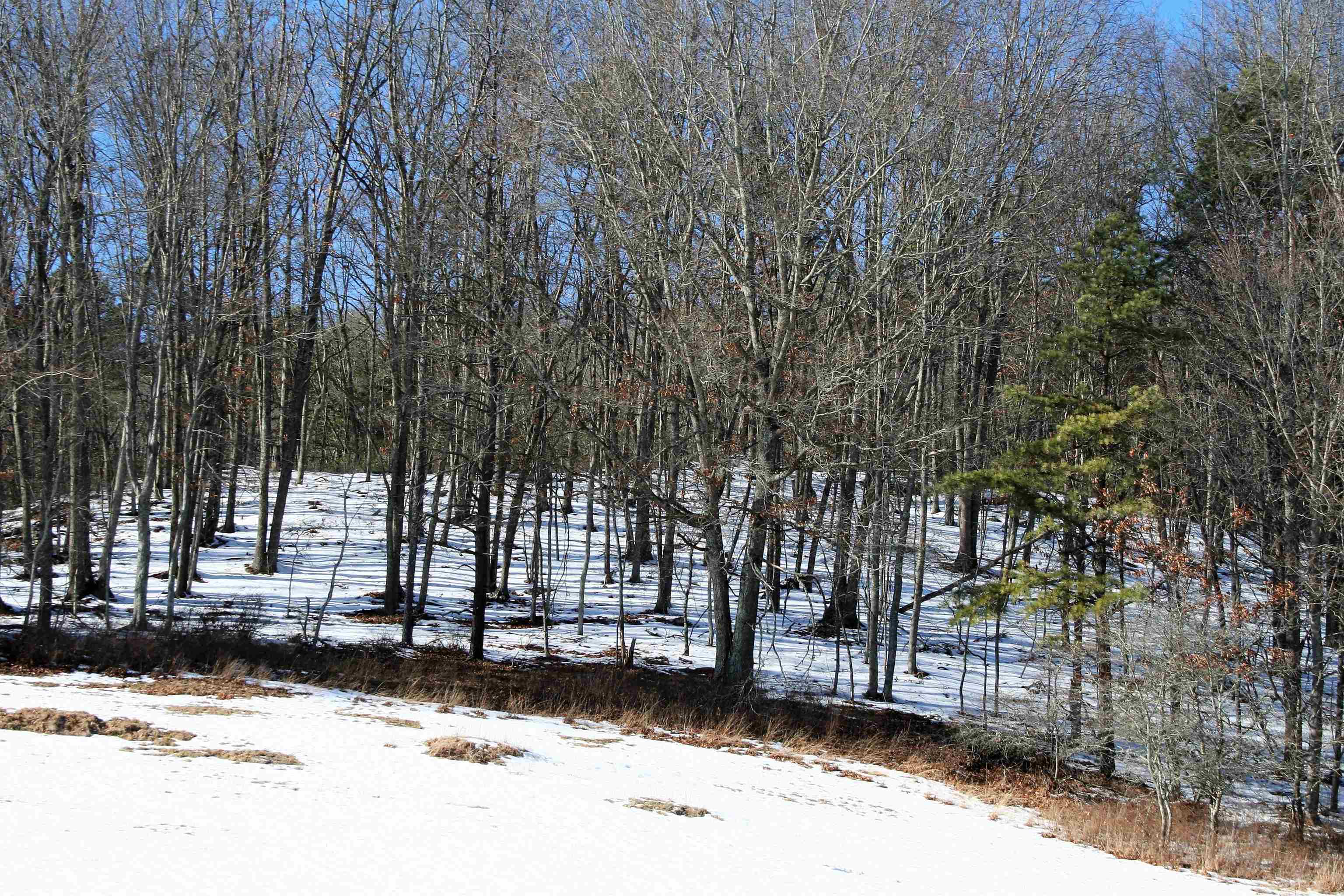 1784 Jackson River Road Monterey, VA 24465 - Photo 4 of 19 Gallery Image 4