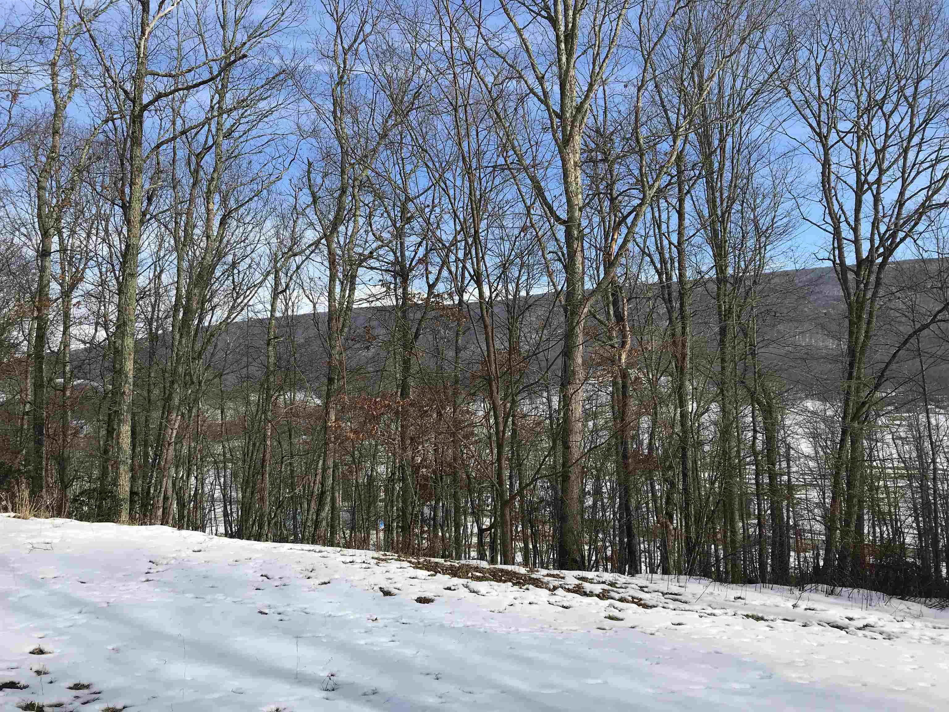 1784 Jackson River Road Monterey, VA 24465 - Photo 10 of 19 Gallery Image 10