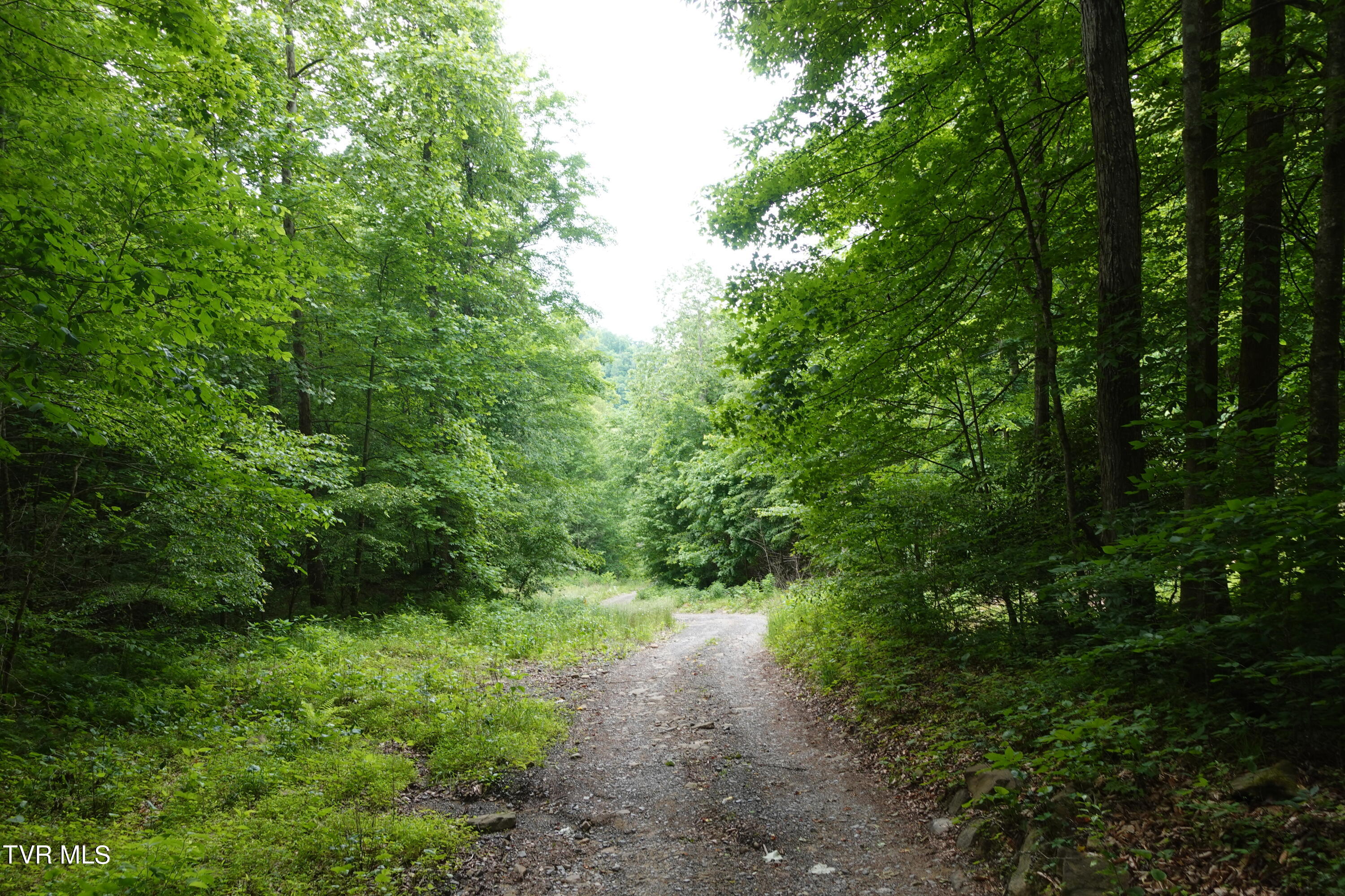 639 Dream Farm Road Birchleaf, VA 24220 - Photo 146 of 153 DSC00380