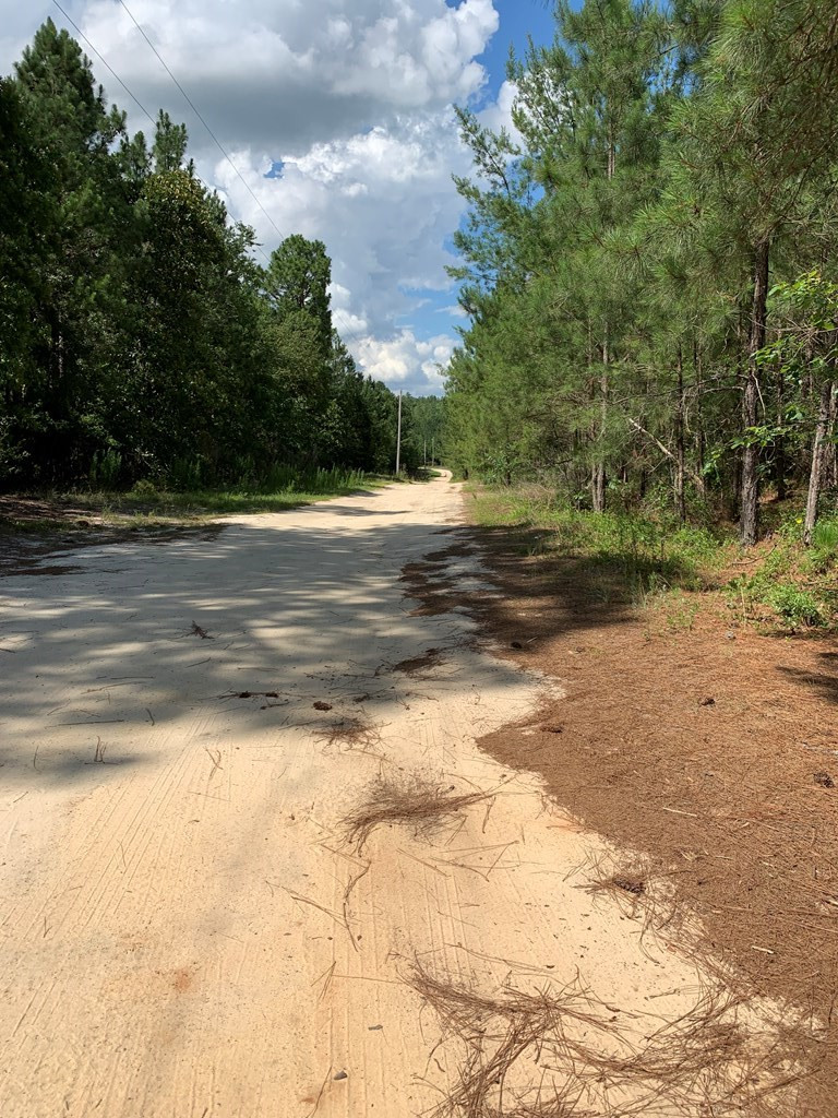 0 Paul Road Monetta, SC 29105 - Photo 9 of 14
