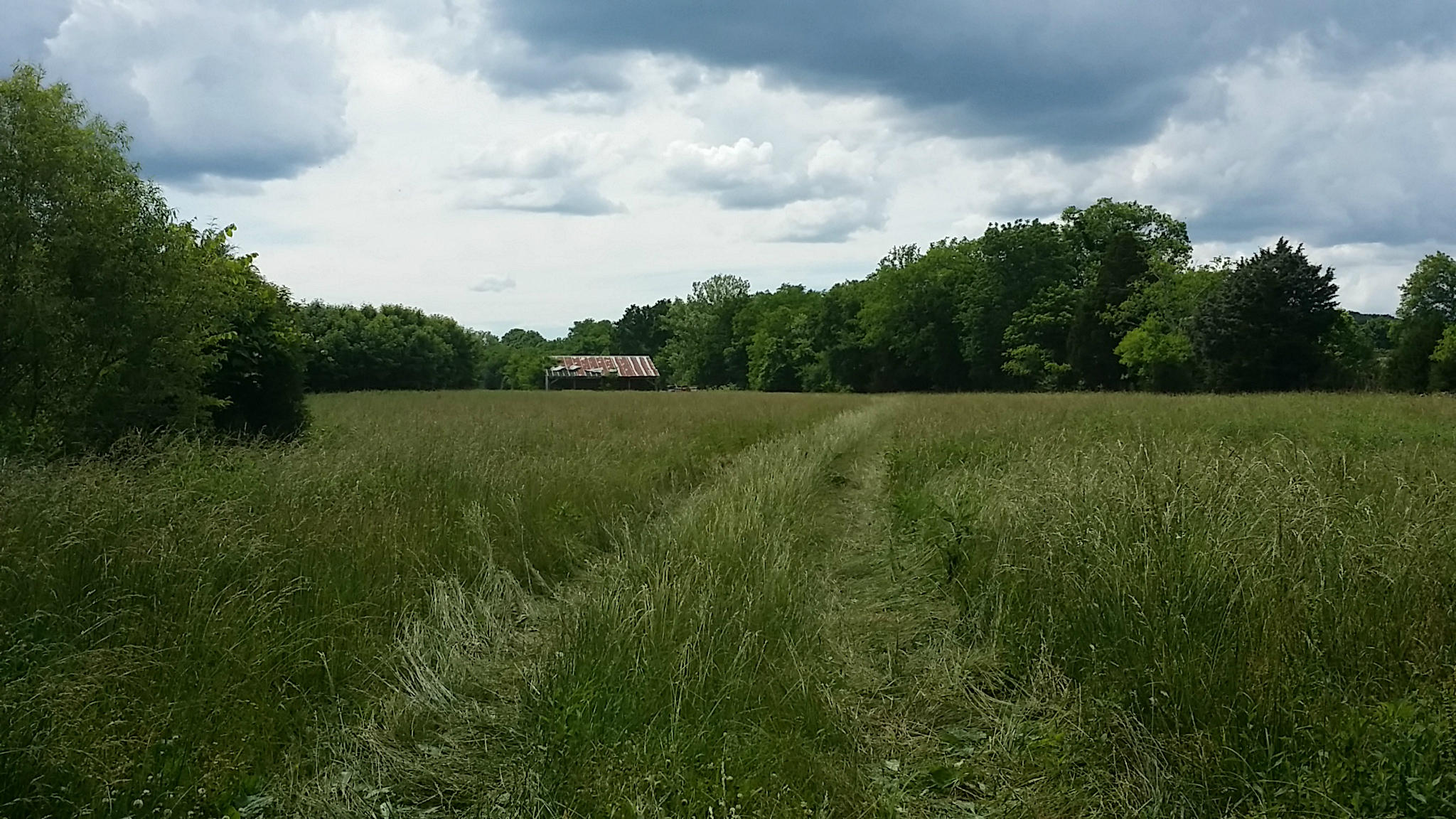 107 Beech Log Road Watertown, TN 37184 - Photo 6 of 7 Hay Field/Pasture With Barn