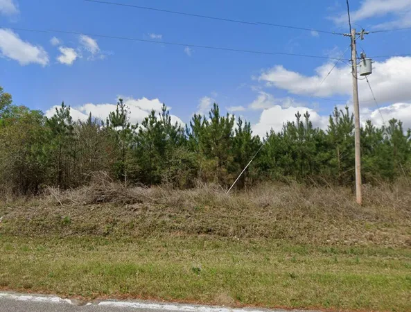 $102,500 | 0 Moore Road, Barnwell, SC 29812