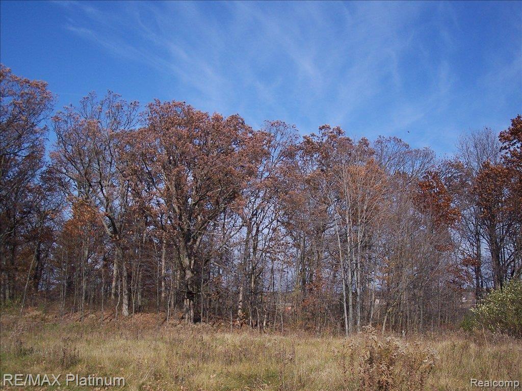 997 Yarrow, Unit 28 Howell, MI 48843 - Photo 4 of 6 SUPER-PRETTY