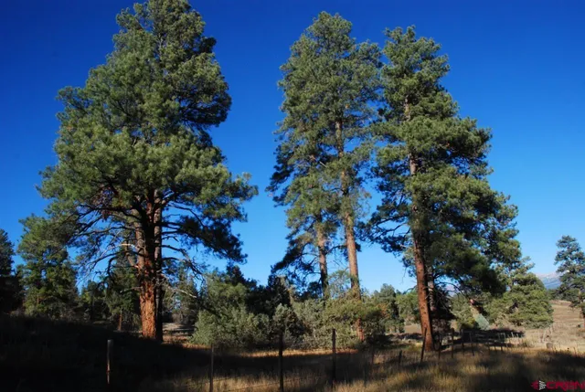 $250,000 | 562 West Blue Lake Drive, Pagosa Springs, CO 81147