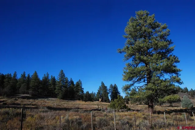 $250,000 | 562 West Blue Lake Drive, Pagosa Springs, CO 81147