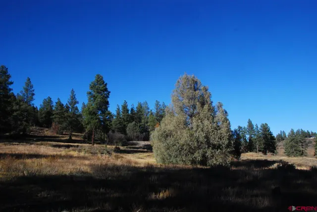 $250,000 | 562 West Blue Lake Drive, Pagosa Springs, CO 81147