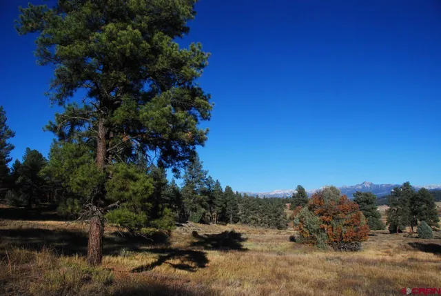 $250,000 | 562 West Blue Lake Drive, Pagosa Springs, CO 81147