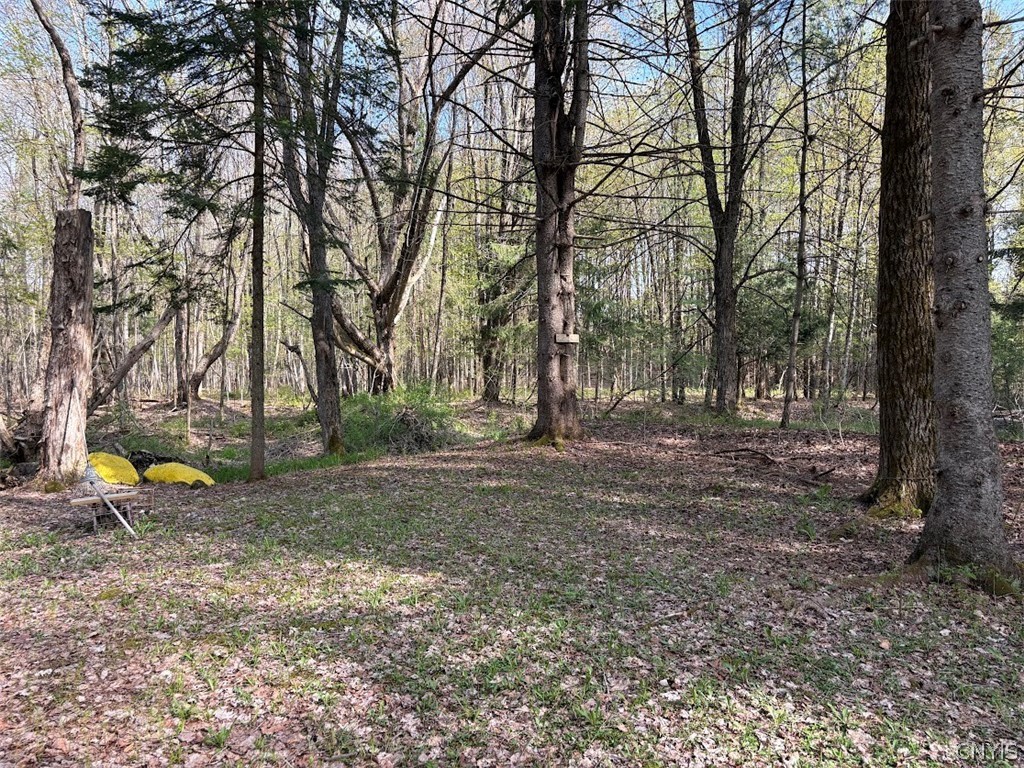 10827 Highway 365 Remsen, NY 13438 - Photo 15 of 26