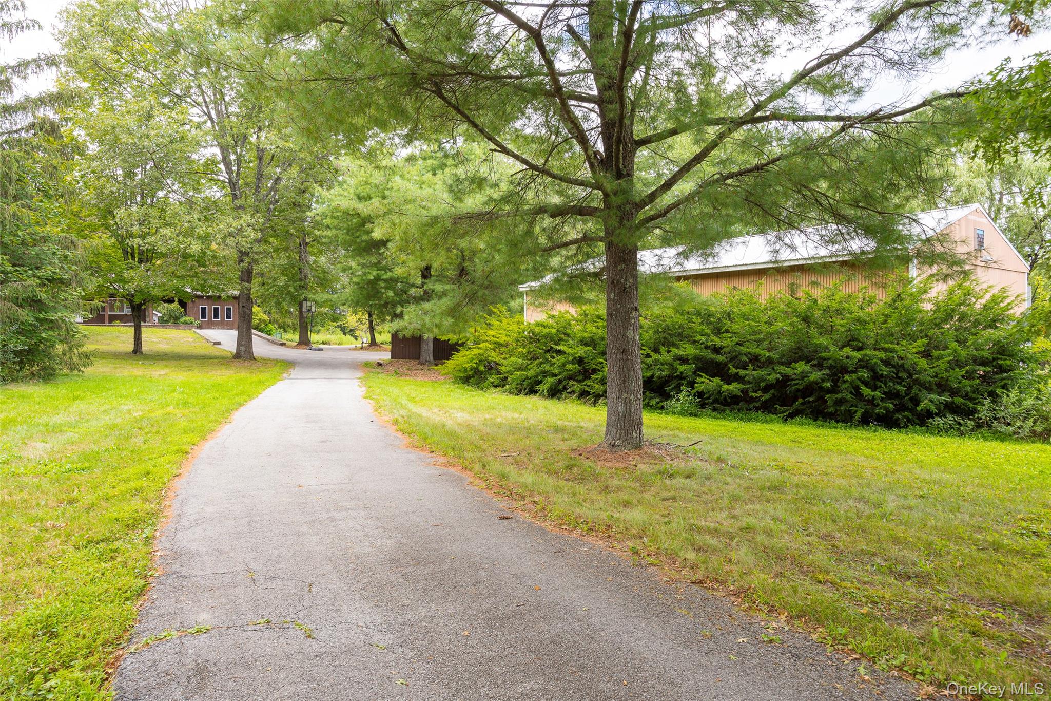 993 Highway 32 Wallkill, NY 12589 - Photo 3 of 35 View of asphalt driveway